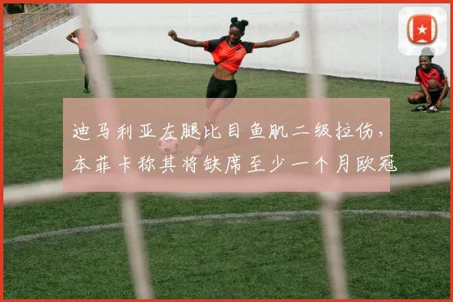 迪马利亚左腿比目鱼肌二级拉伤，本菲卡称其将缺席至少一个月欧冠小组赛